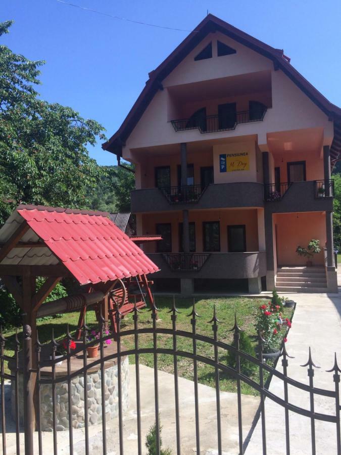 Hotel M Dey Vişeu de Sus Exteriér fotografie